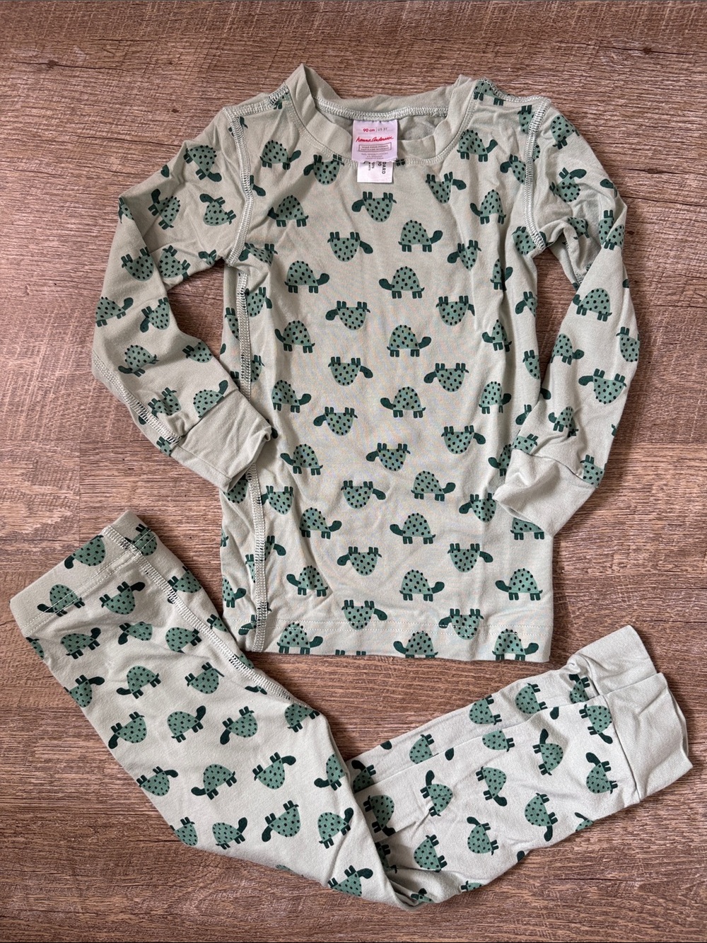 Hanna Andersson Turtle Print Pajama Set Size 3T